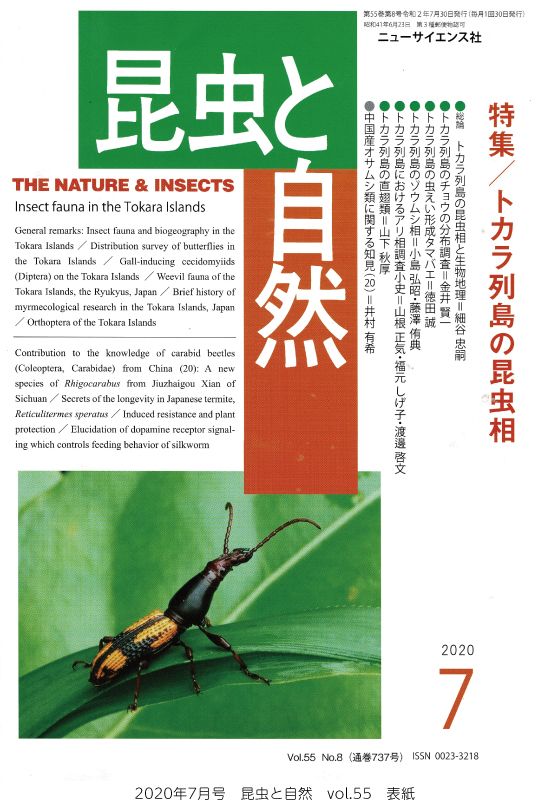 「昆虫と自然」7月号に太田広人准教授のカイコ研究の記事が掲載