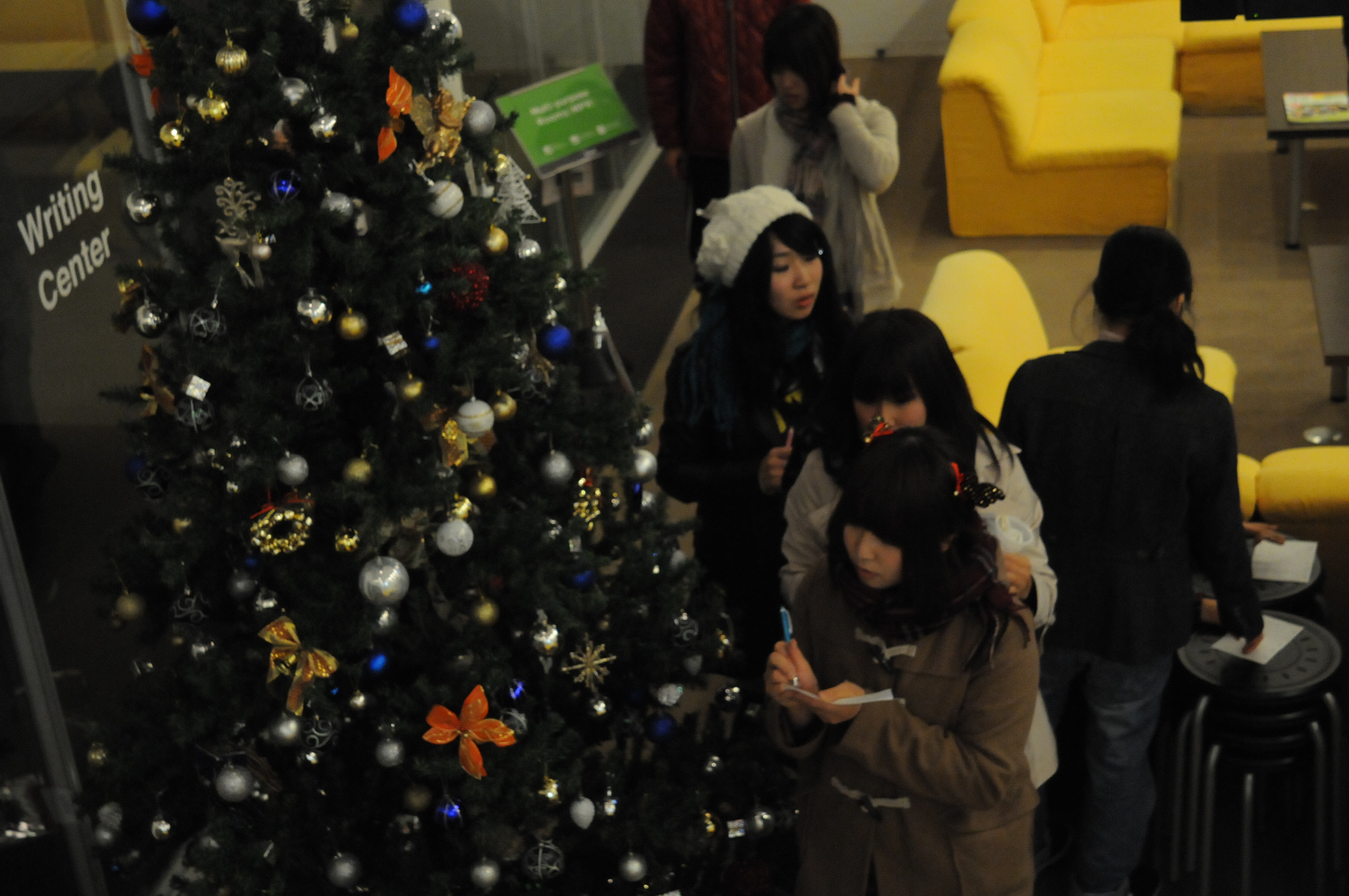 DSC_6181.jpg