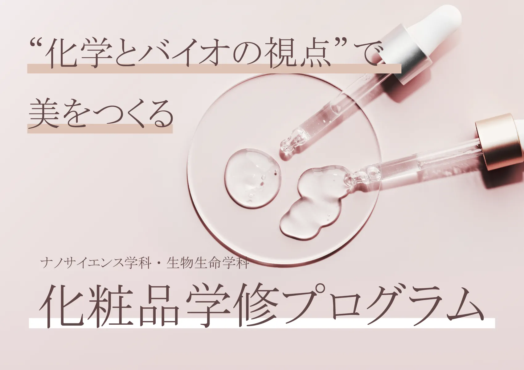 化粧品学修プログラム
