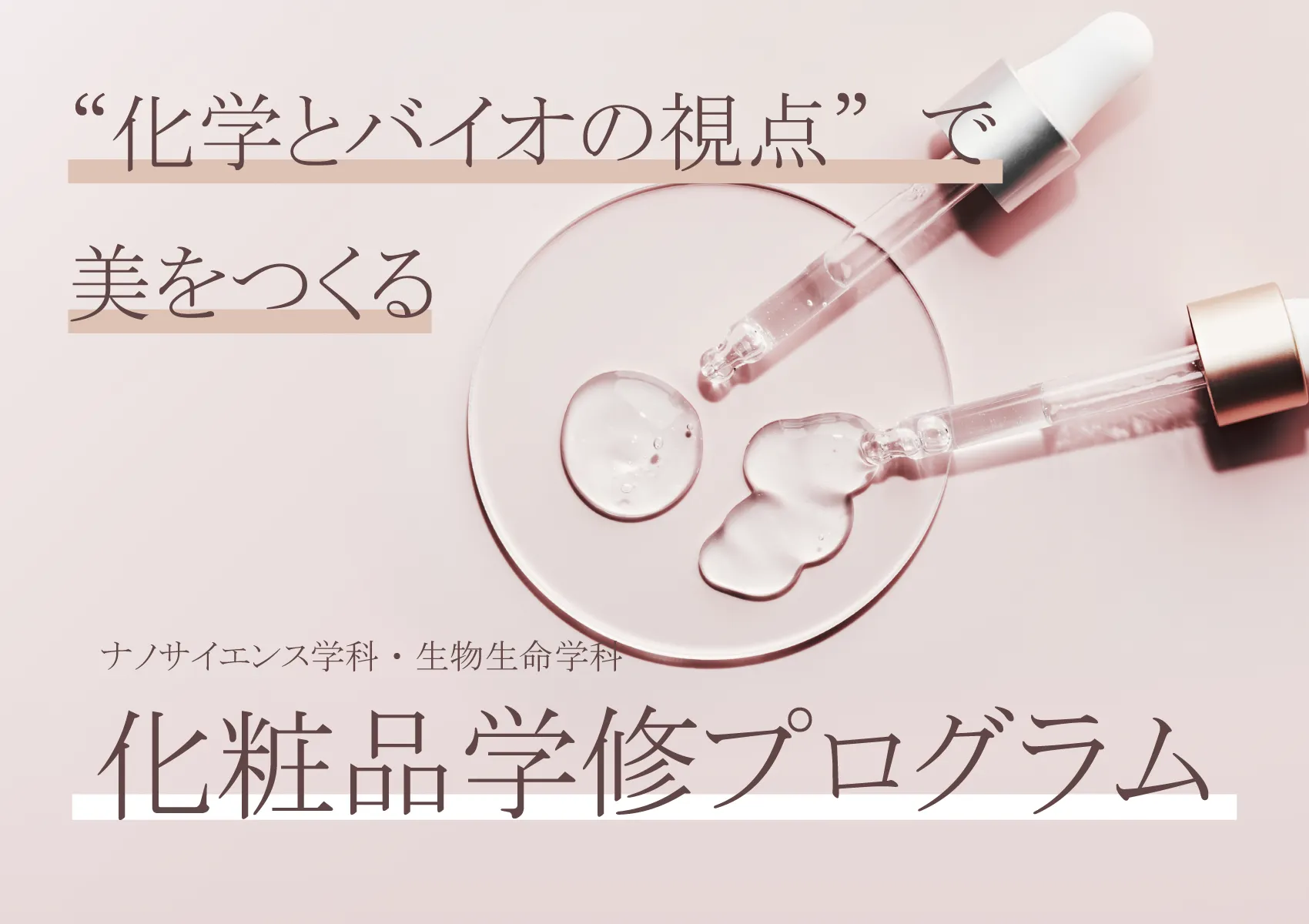 化粧品学修プログラム