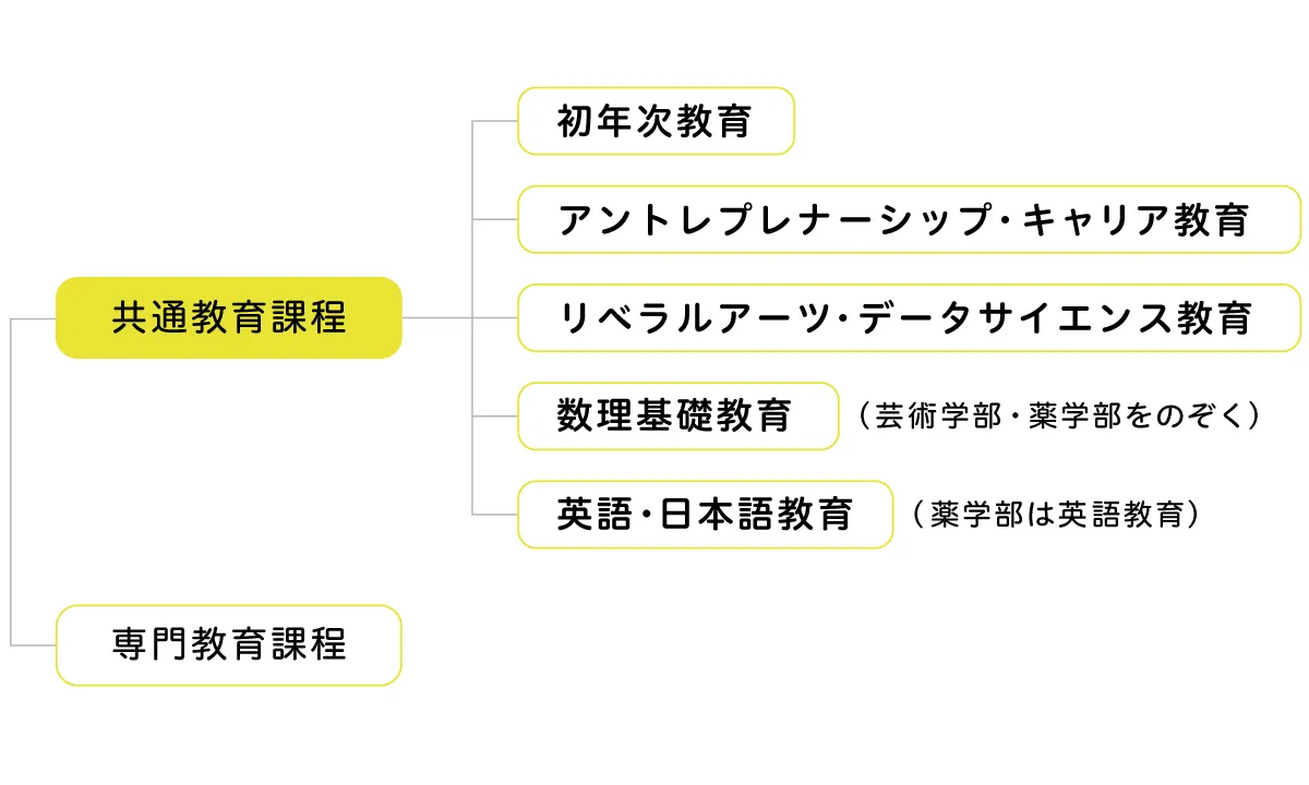 02.webp