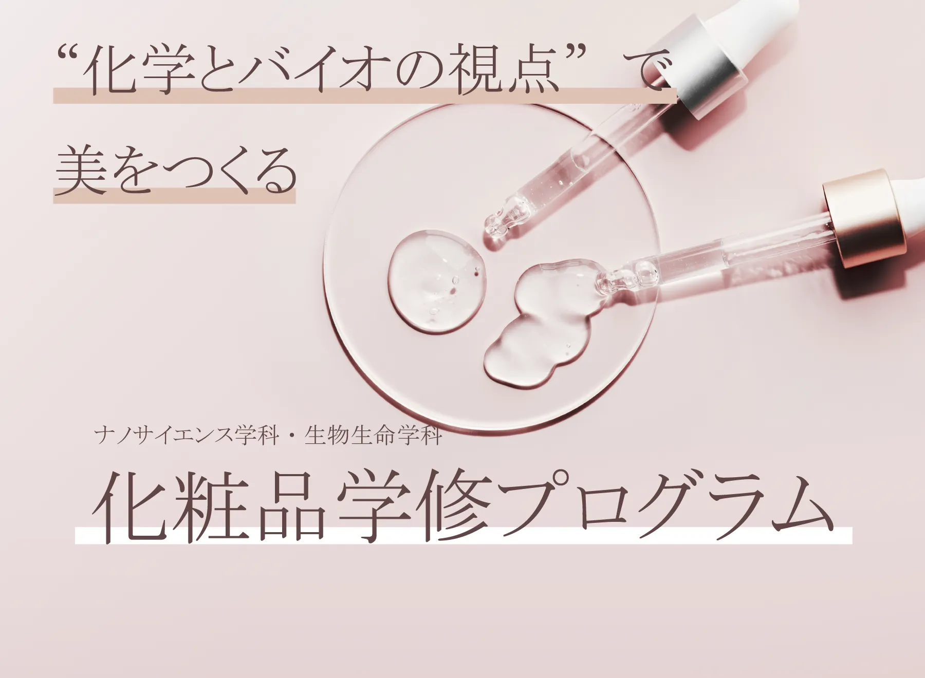 260528_化粧品学修プログラム.webp