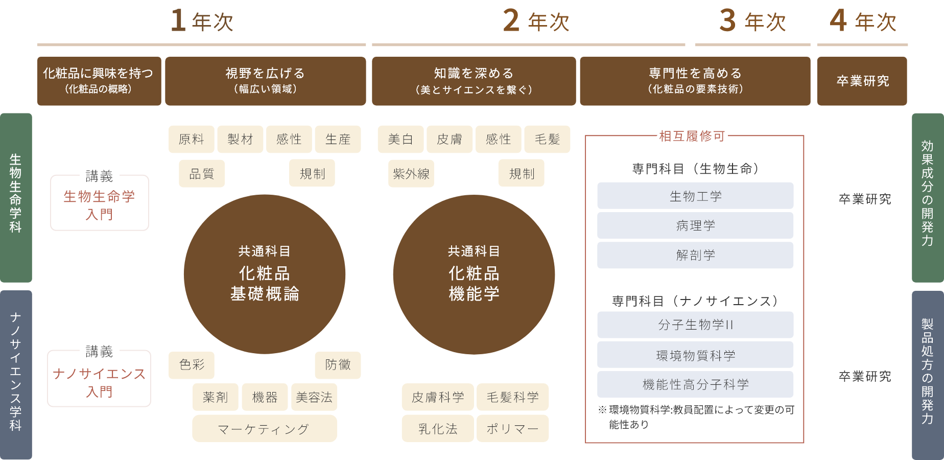 カリキュラムの図