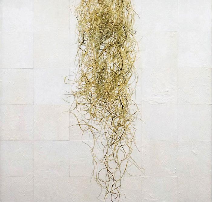 第66回モダンアート展 「Spanish moss」入選（東京都美術館）