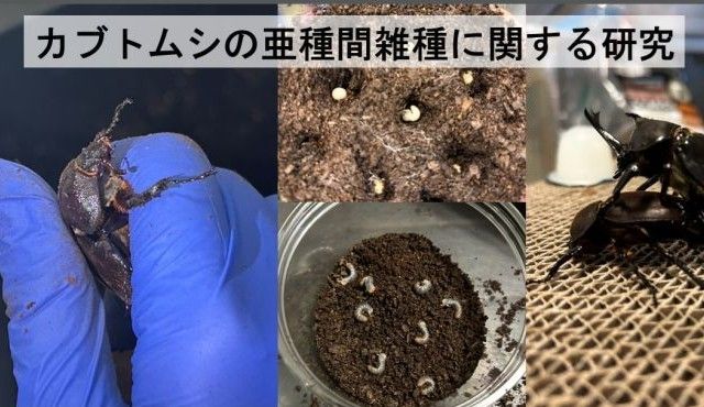 生物生命学科1年生が学会発表！