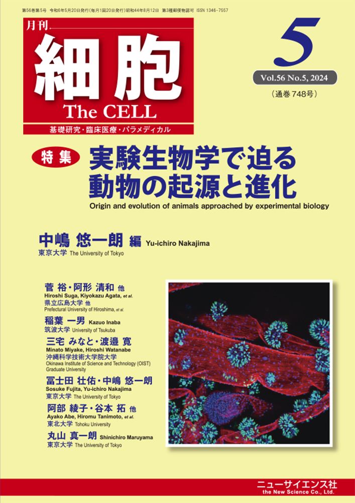 月刊「細胞」に太田教授・大学院生のカイコ及び線虫の研究記事が掲載