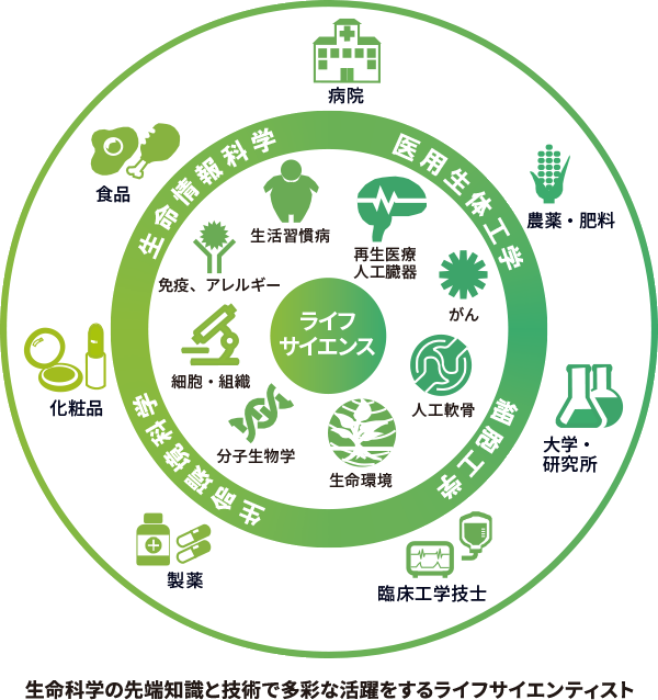 生命科学の先端知識と技術で多彩な活躍をするライフサイエンティスト