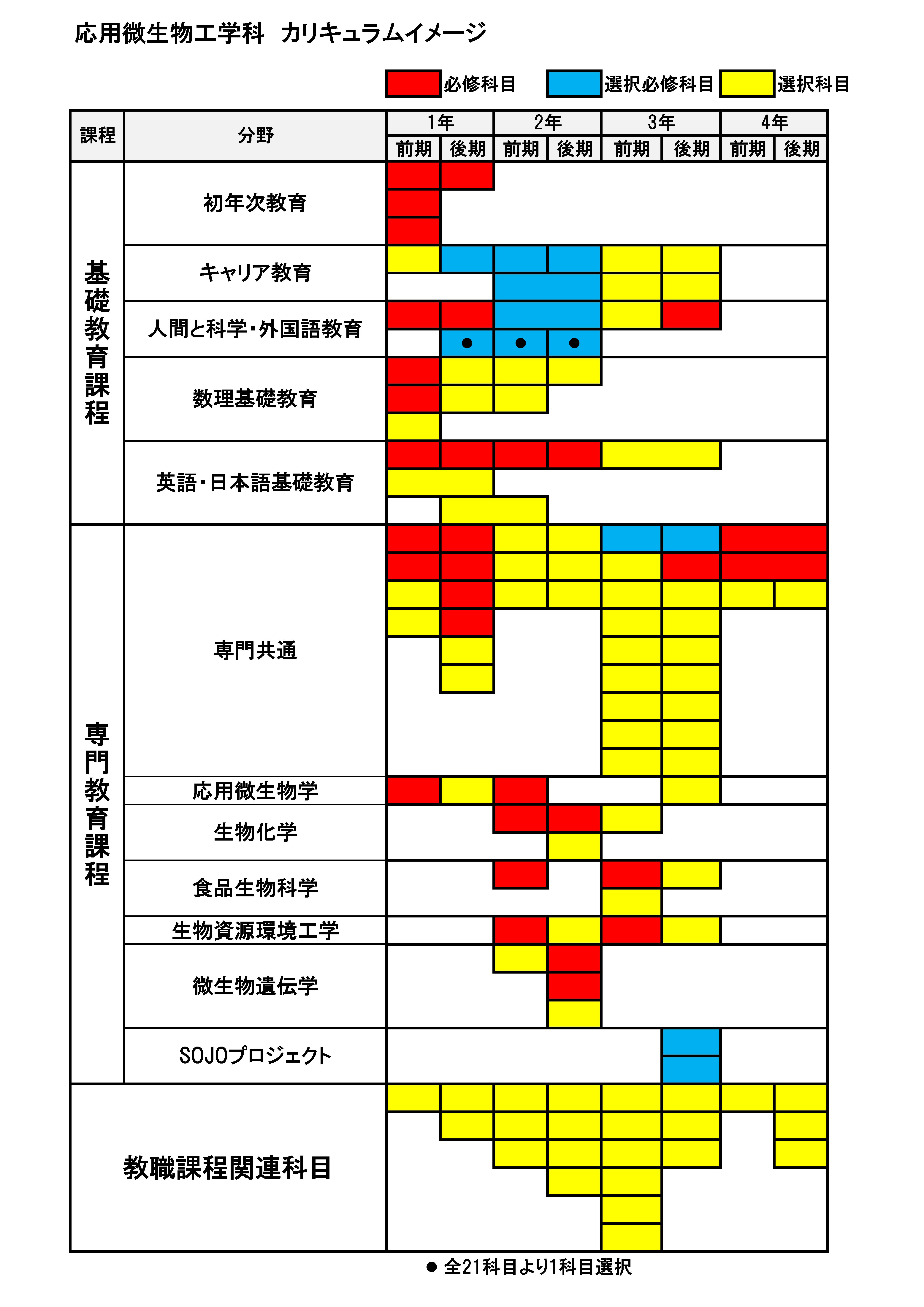 応用微生物工学科カリキュラムイメージ