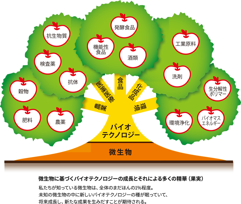 微生物に基づくバイオテクノロジーの成長とそれによる多くの精華（果実）