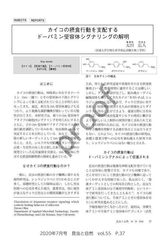 202007_konchutoshizen_p37.jpg