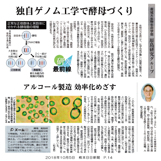 181005_kumanichi_p14.png