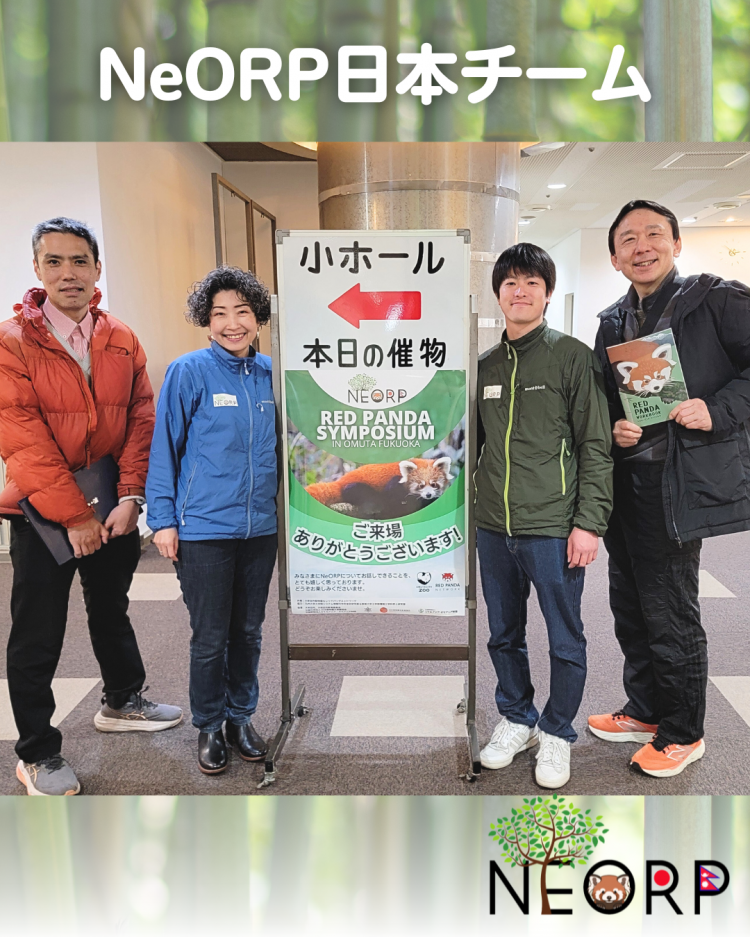 日本初の「レッサーパンダシンポジウム」に野上准教授が登壇！