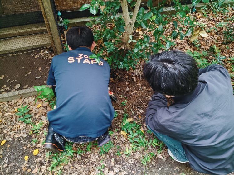 モグラ捕獲システムの開発を進めています