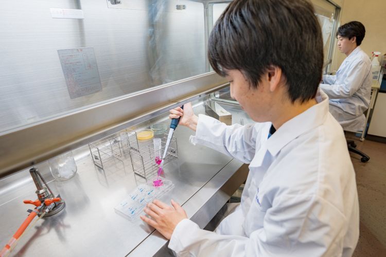 微生物の研究をする学生