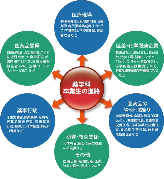 薬学科卒業生が進む職場フィールド／医薬品、医療関係の様々分野で活躍しています。