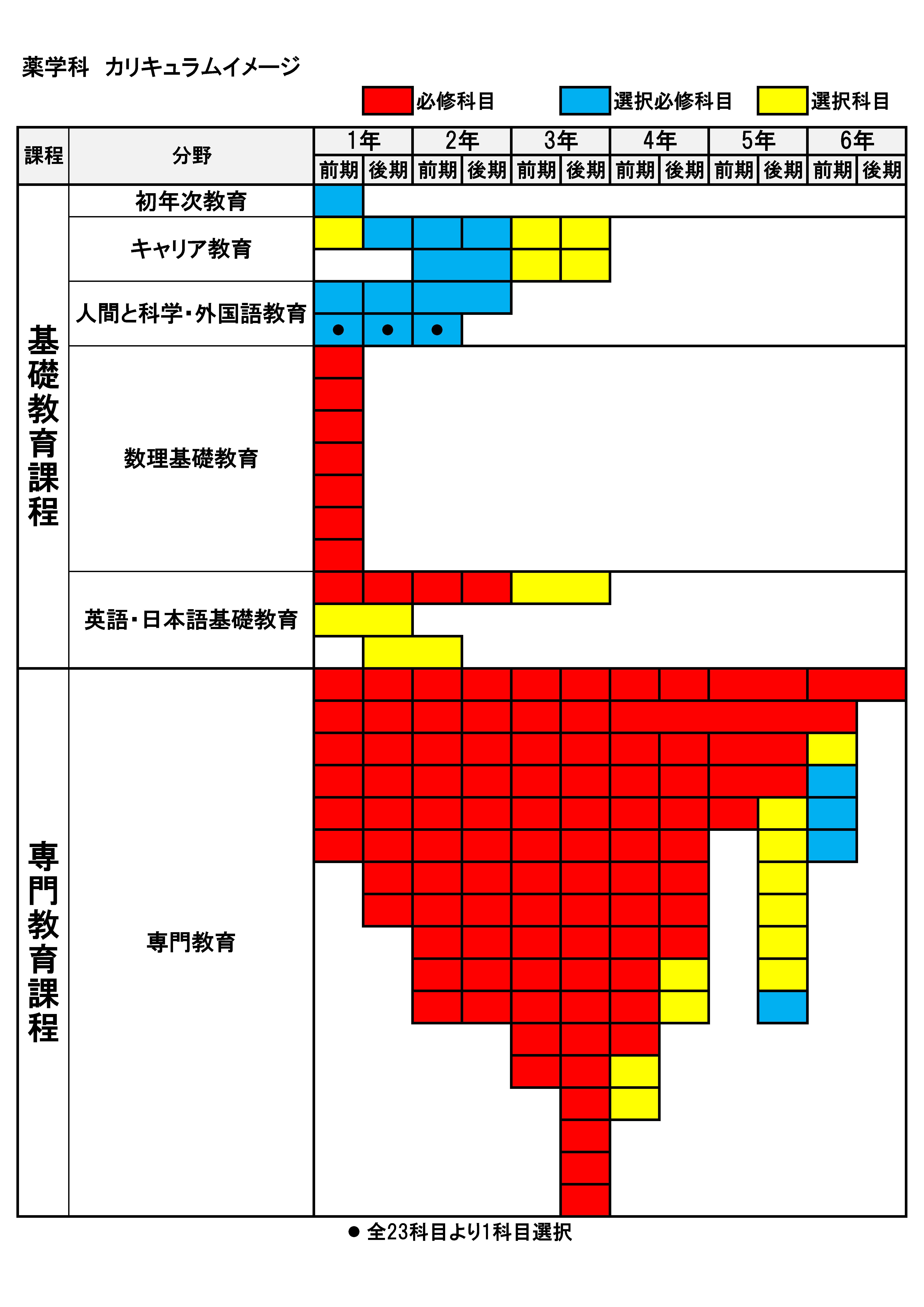 薬学科カリキュラムイメージ