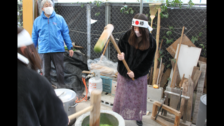 国家試験合格祈願！玉名・小岱山薬草の会と薬用植物園との合同餅つき大会を開催しました