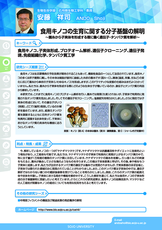 食用キノコの生育に関する分子基盤の解明