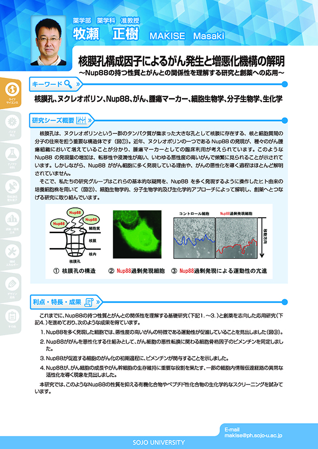 核膜孔構成因子によるがん発生の解明