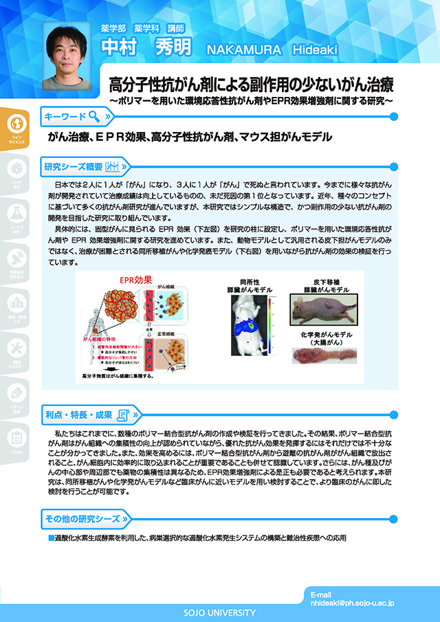 高分子性抗がん剤による副作用の少ないがん治療