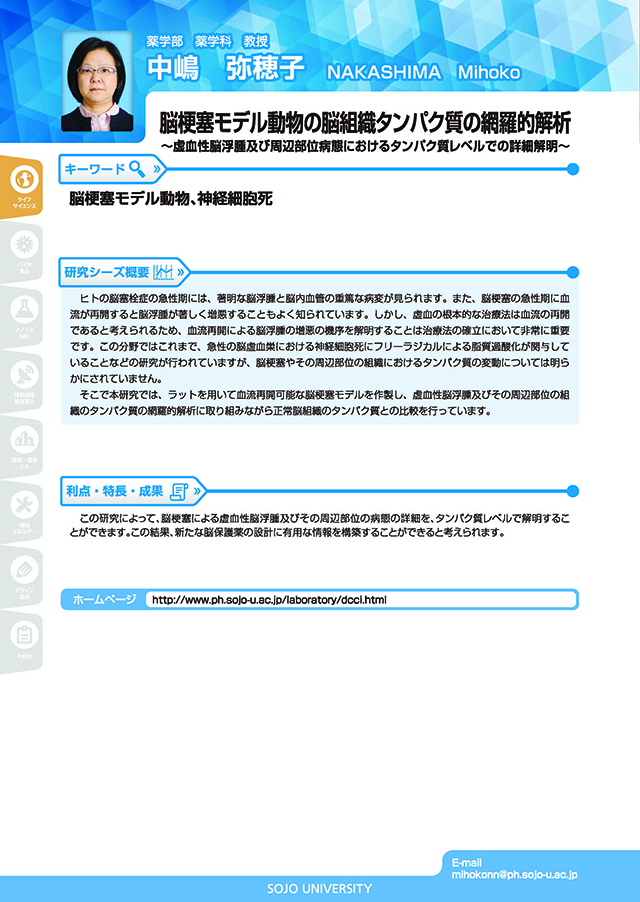 脳梗塞モデル動物の脳組織タンパク質の網羅的解析