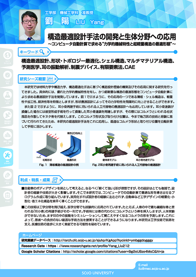 構造最適設計手法の開発と生体分野への応用