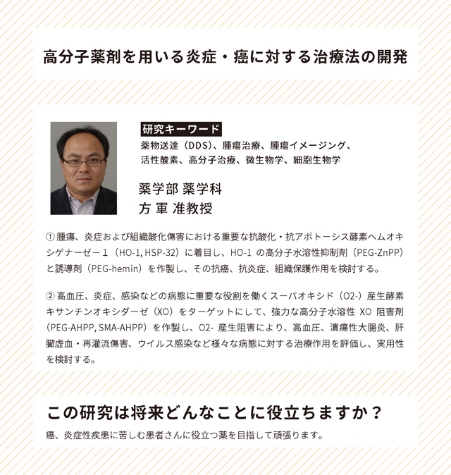 高分子薬剤を用いる炎症・癌に対する治療法の開発