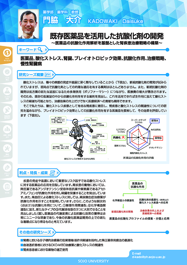 既存医薬品を活用した抗酸化剤の開発 ‒