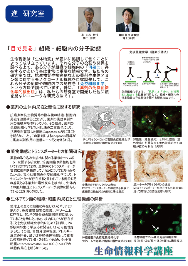 進　研究室