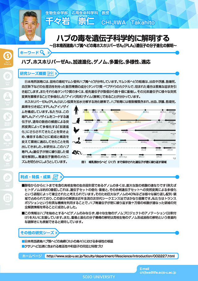 ハブの毒を遺伝子科学的に解明する