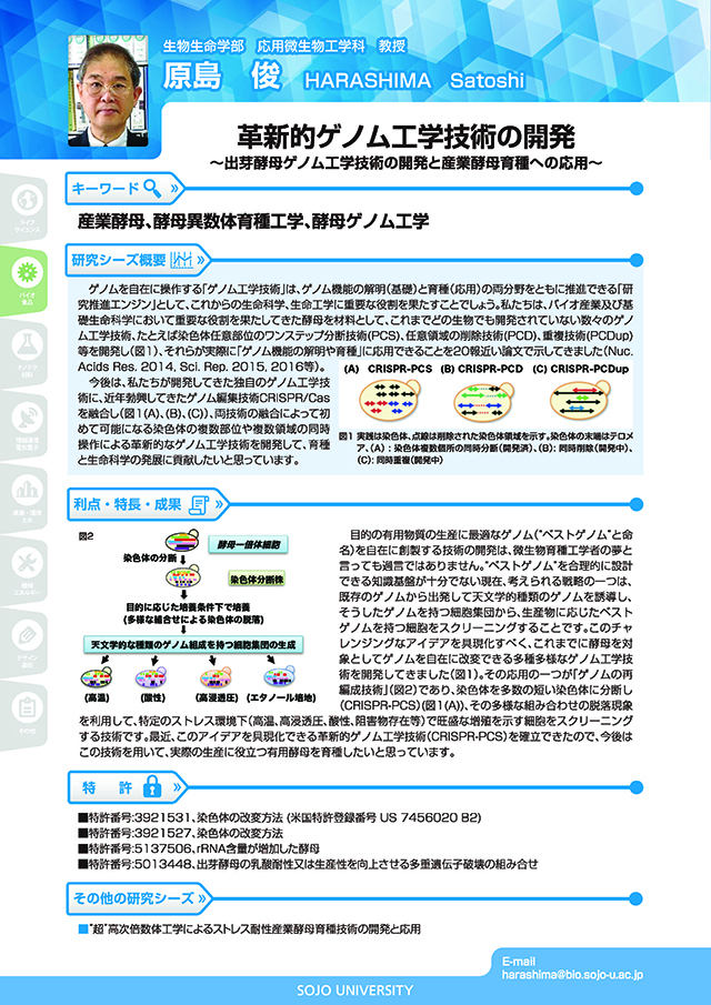 革新的ゲノム工学技術の開発