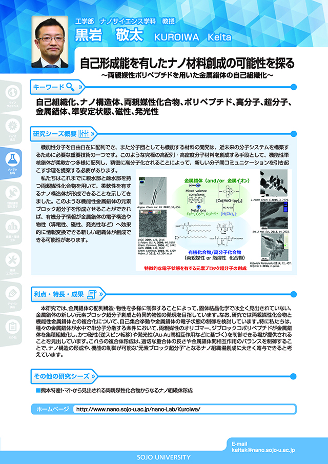 自己形成能を有したナノ材料創成の可能性を探る