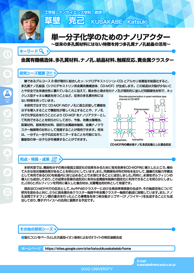 単一分子科学の為のナノリアクター