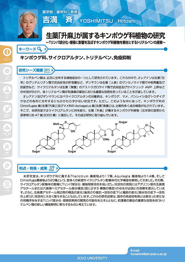 生薬「升麻」が属するキンポウゲ科植物の研究