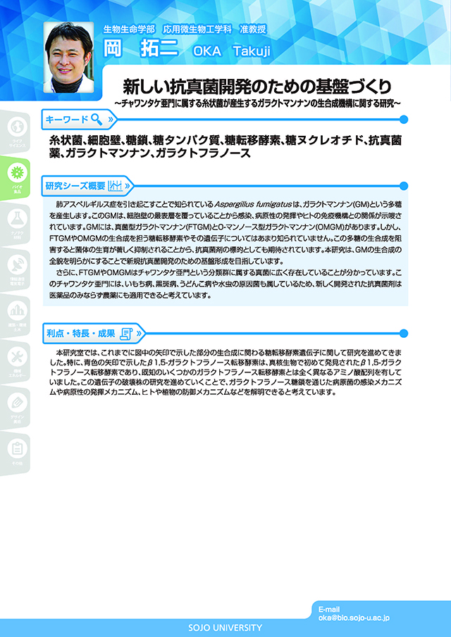 新しい抗真菌開発の為の基盤づくり