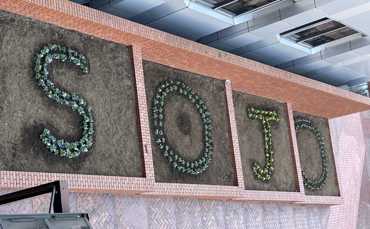 SOJOの花文字(上から).jpg