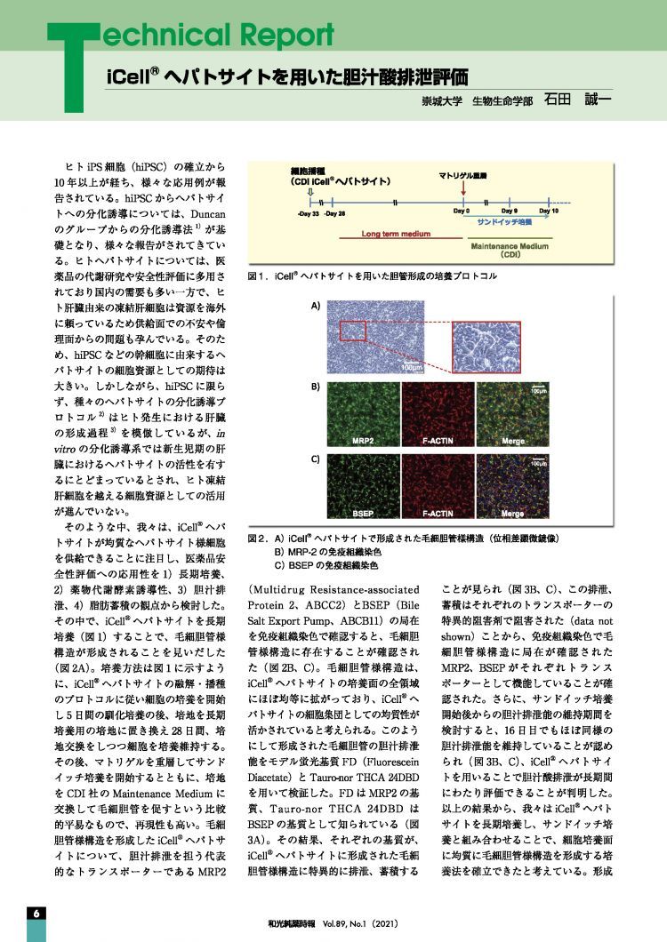 iCell® ヘパトサイトを用いた胆汁酸排泄評価-1_ページ_1.jpg