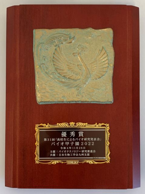 t6EBFB618-73E3-4439-89AF-F954DBF4B124.jpg