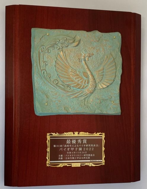 tFFC48739-44EC-4C4F-AD6E-BA77DF4975C6.jpg