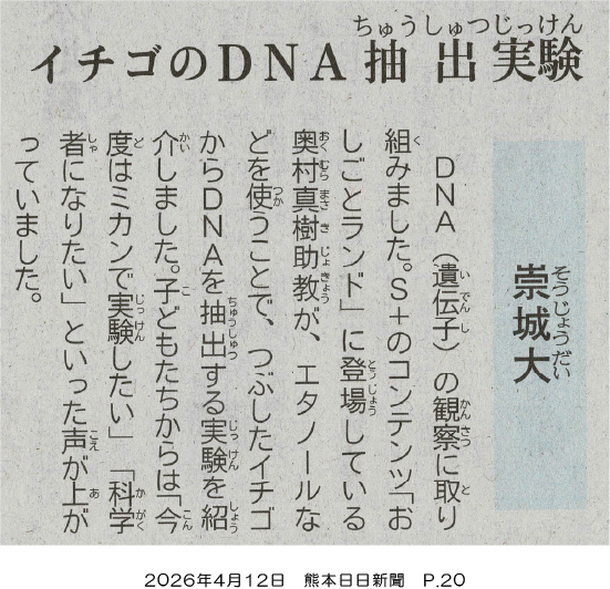 20260412_kumanichi_p20.webp