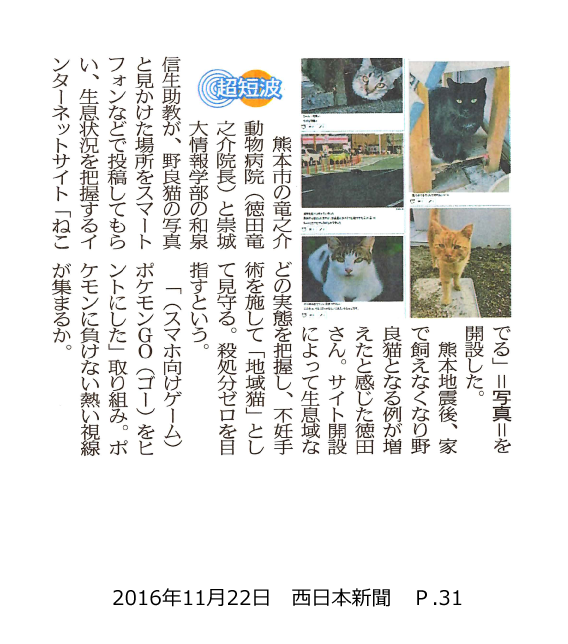 161122_nishinihon_P31.png