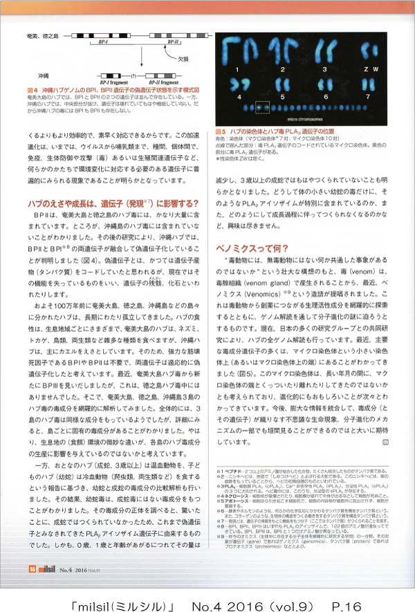 milsil_no4_2016_p16.png