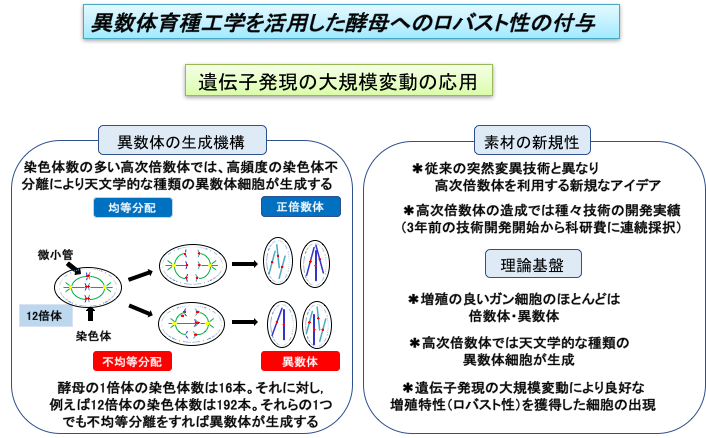 図１.png