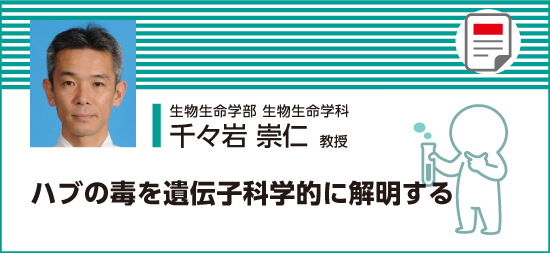 ハブの毒を遺伝子科学的に解明する