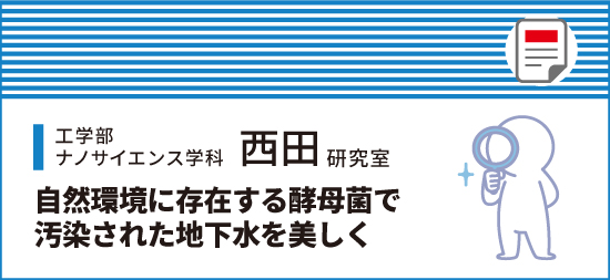 自然環境に存在する酵母菌で汚染された地下水を美しく