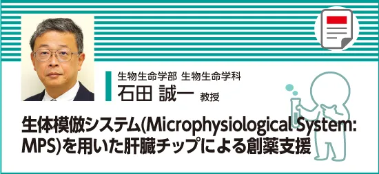 MPSを用いた肝臓チップによる創薬支援