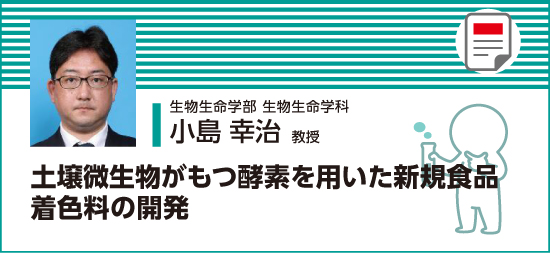 土壌微生物がもつ酵素を用いた新規食品着色料の開発