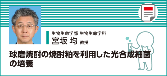 球磨焼酎の焼酎粕を利用した光合成細菌の培養