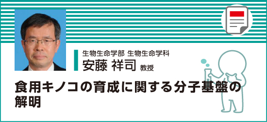 食用キノコの生育に関する分子基盤の解明