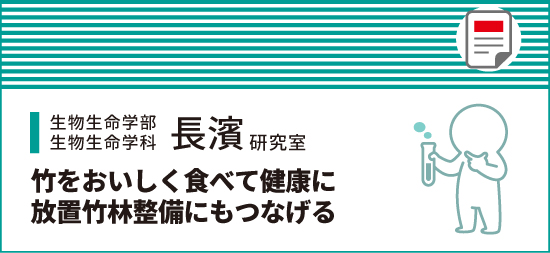 竹をおいしく食べて健康に放置竹林整備にもつなげる